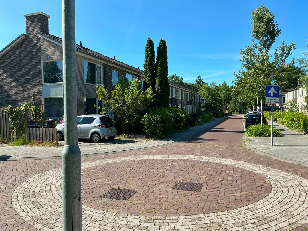 Pareaustraat 16