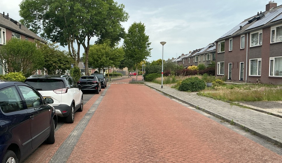 Berberisstraat 51