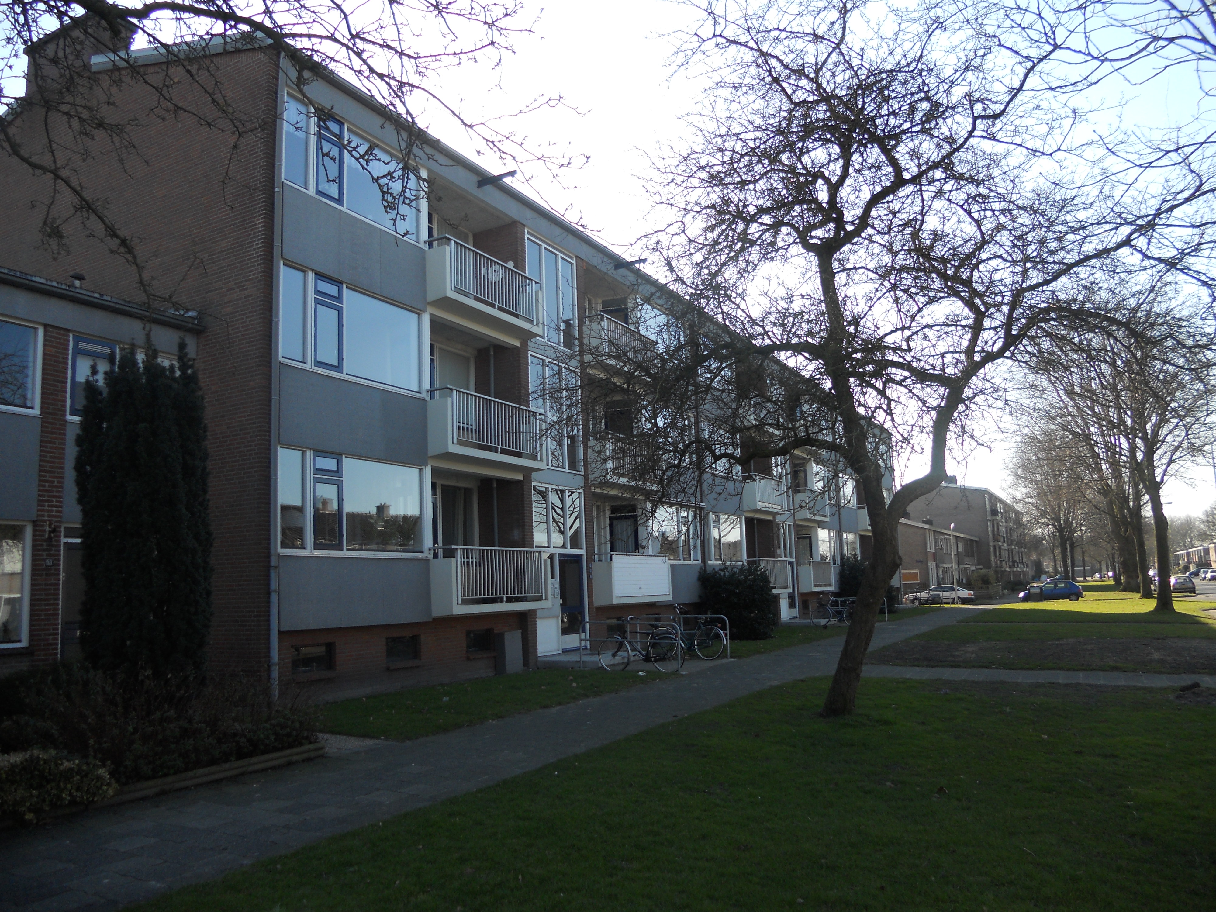 Mimosastraat 59, 7906 PK Hoogeveen, Nederland