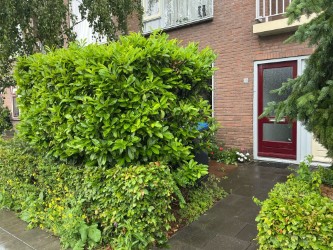 Paul Krugerstraat 24, 8331 SJ Steenwijk, Nederland