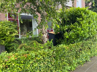 Paul Krugerstraat 24