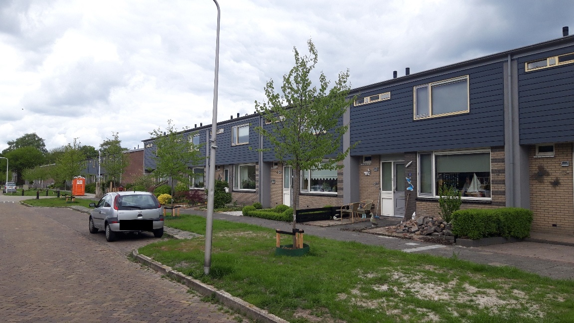 Muurbloemstraat 31