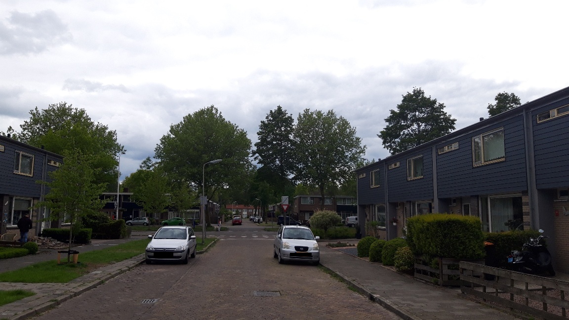 Muurbloemstraat 31