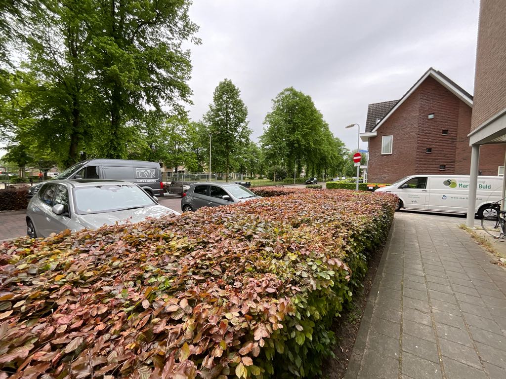 Troelstraplein 36