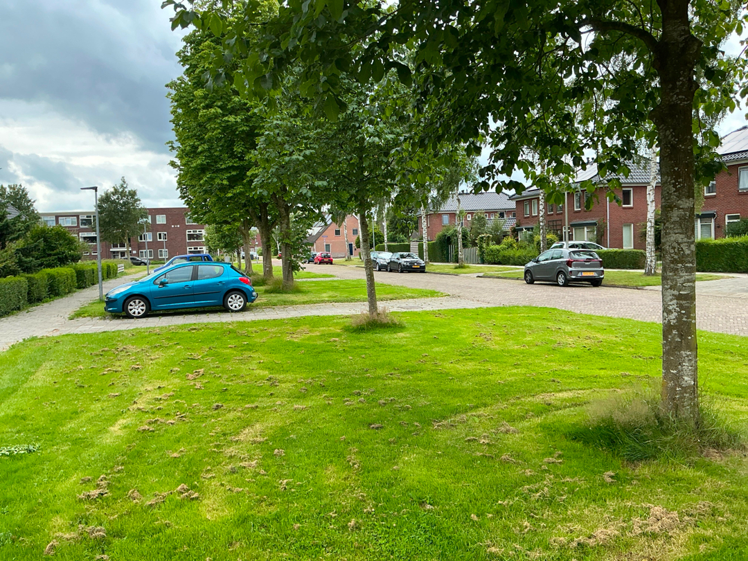 Sperwerstraat 53