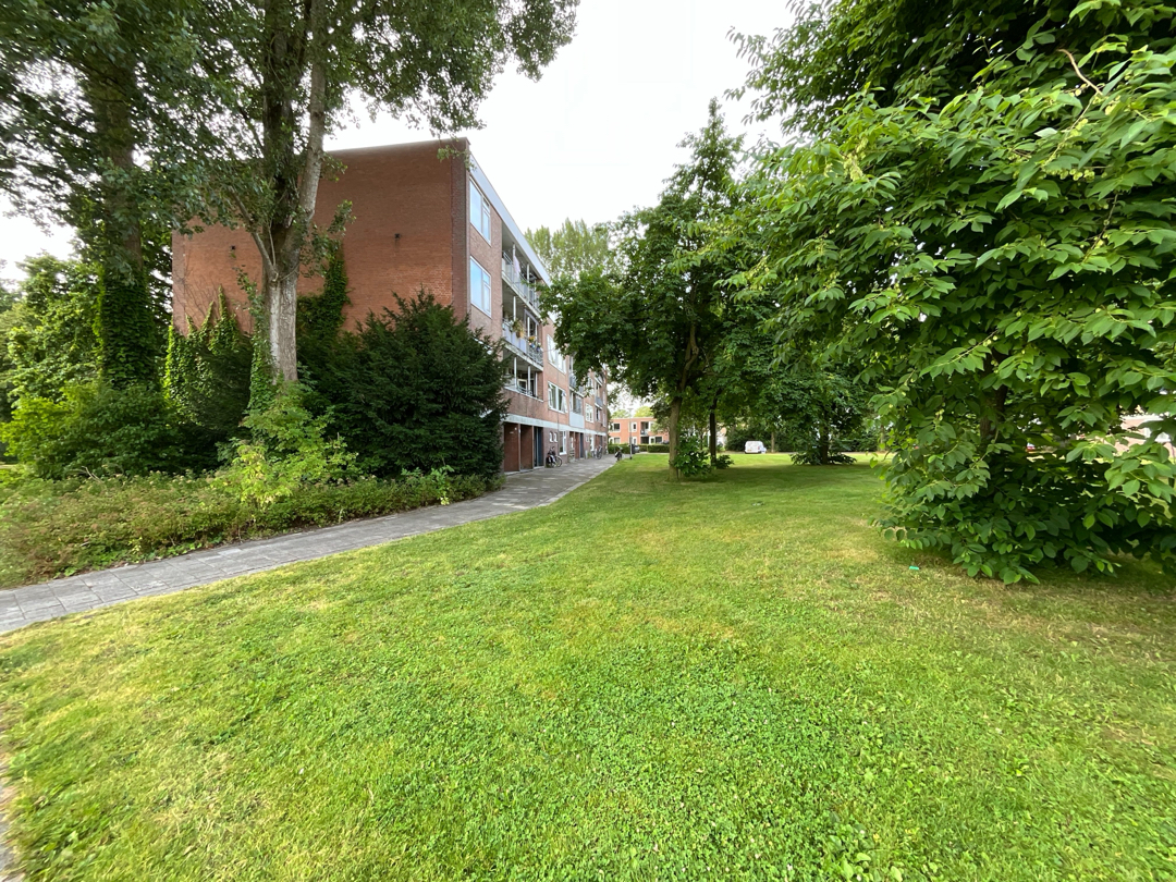 Zuidenveld 35