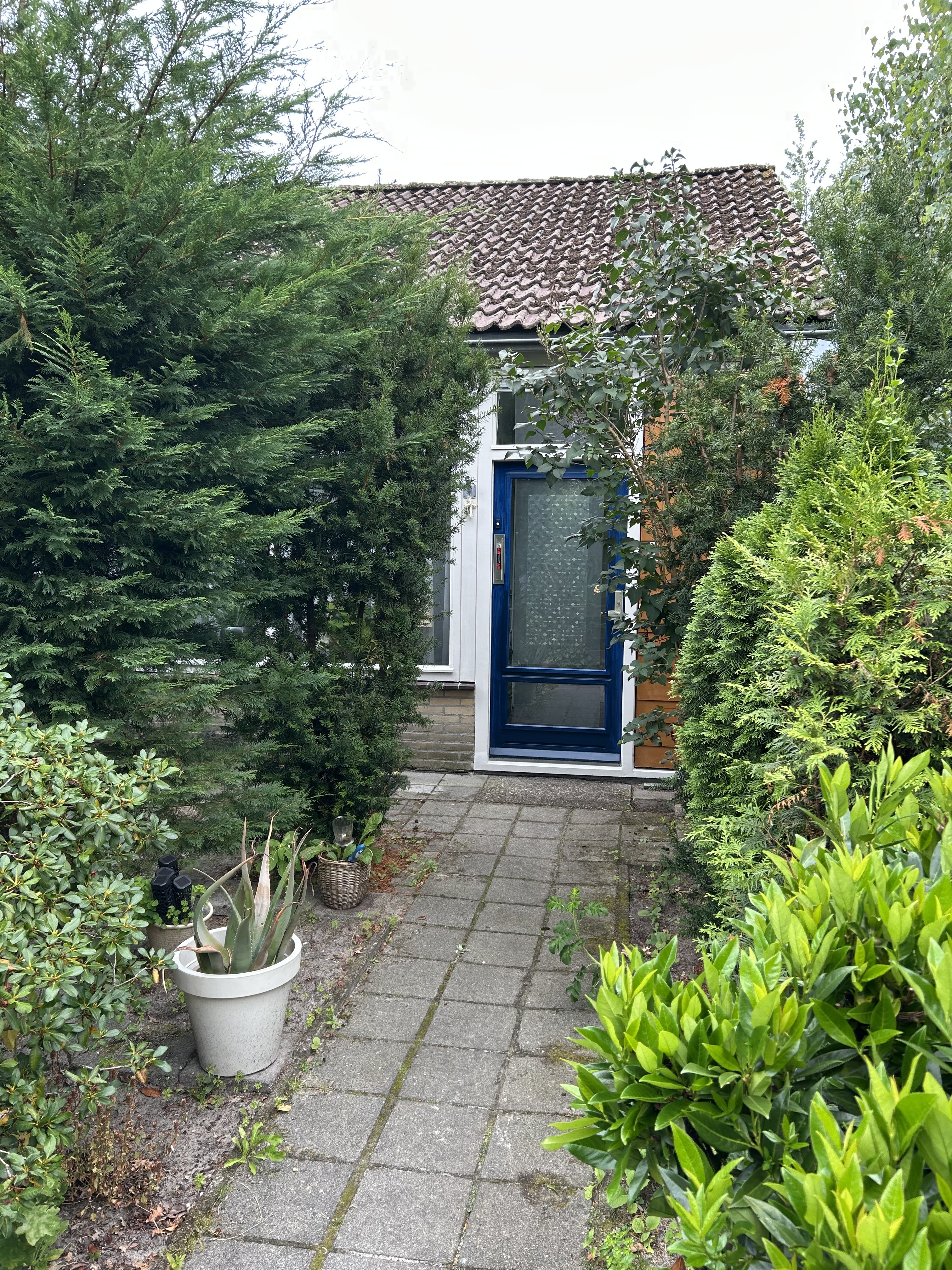 Schepershof 13