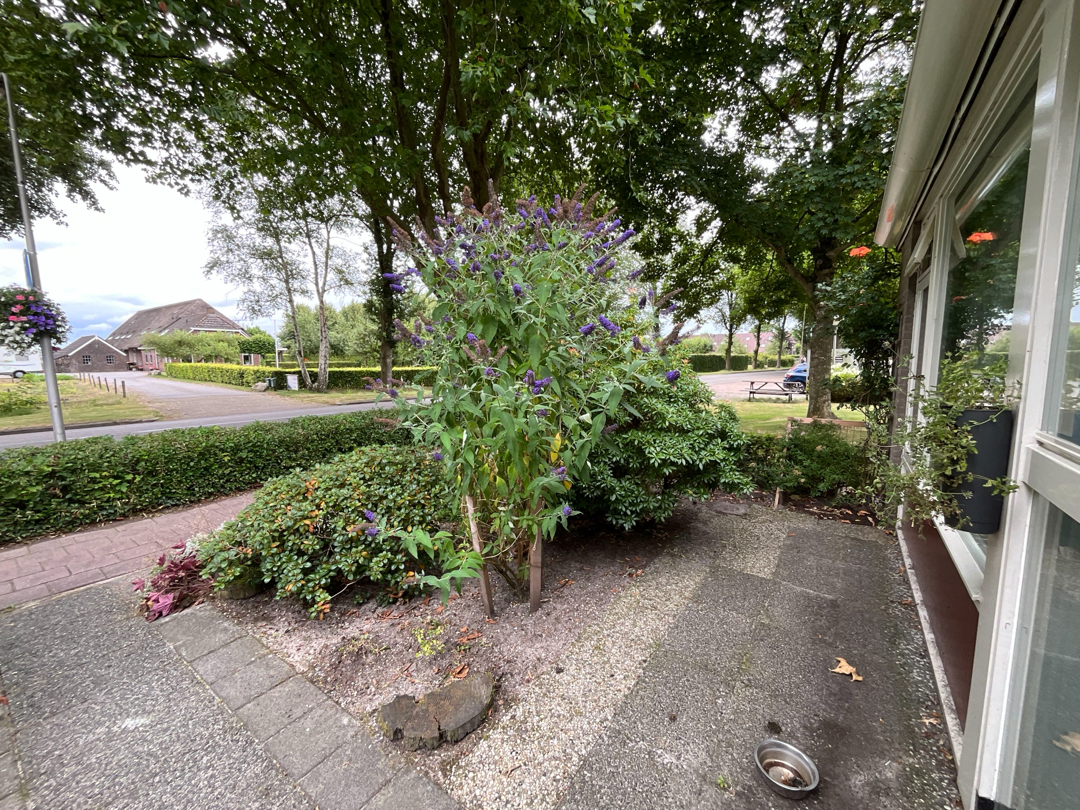Dorpsstraat 41A