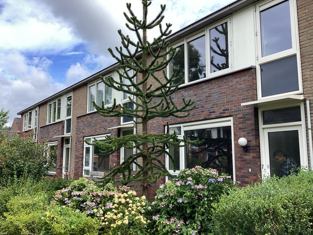 Gentiaanstraat 7, 9404 GN Assen, Nederland