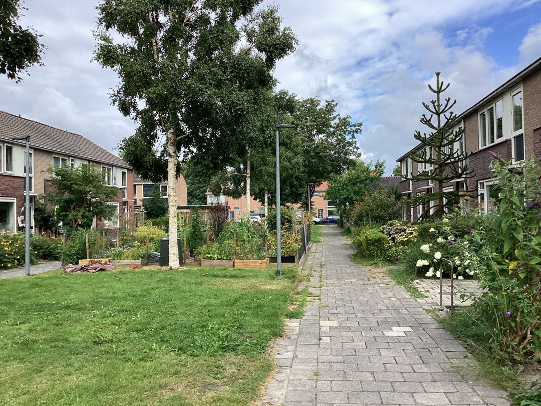 Gentiaanstraat 7