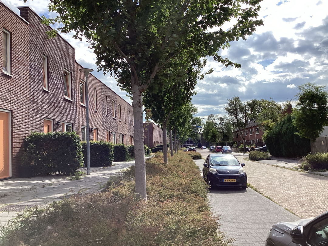 Rabenhauptstraat 36