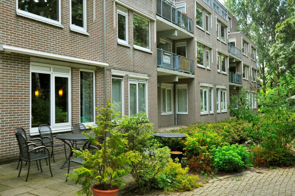 Leonard Springerlaan 61