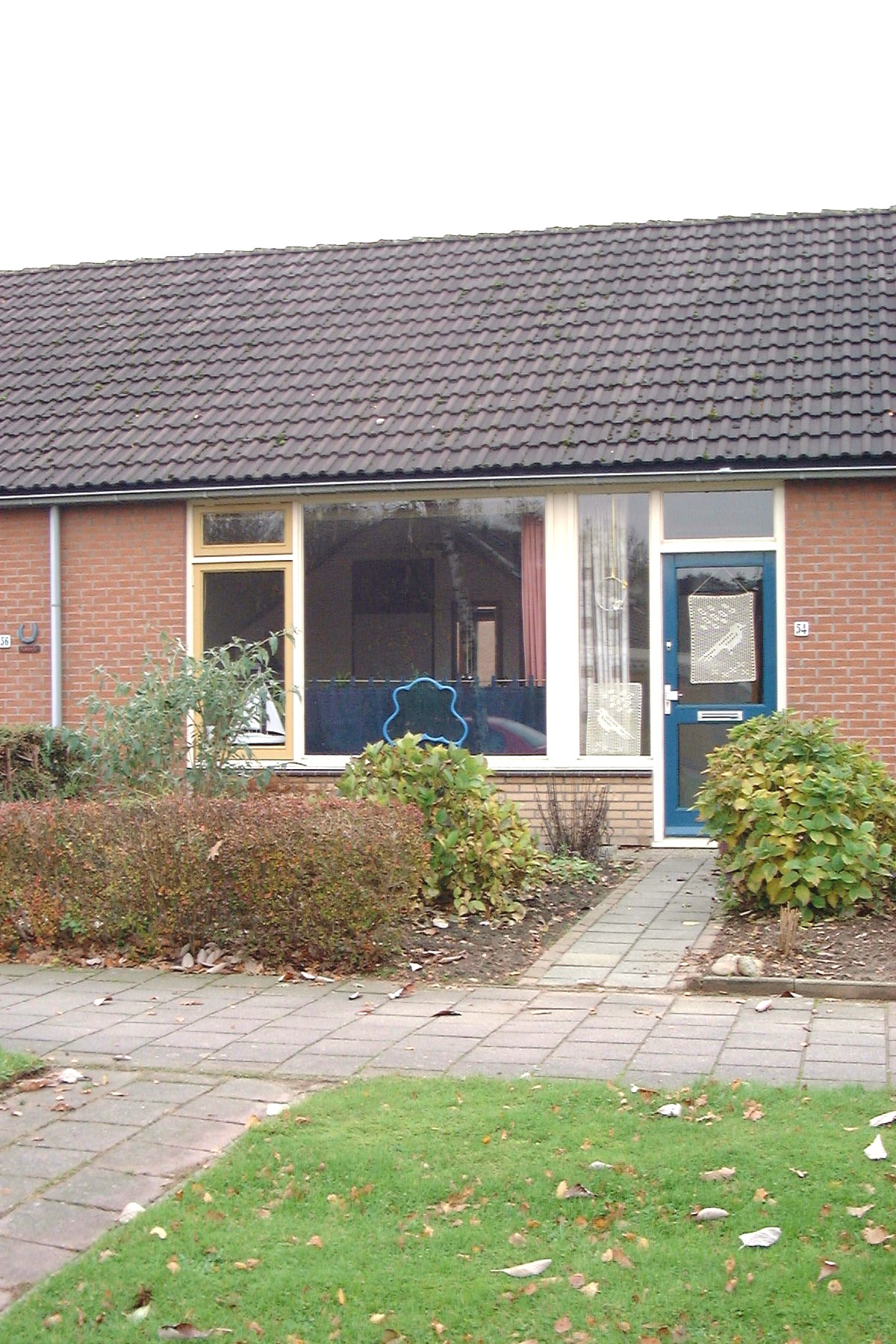 Liesterkrallen 54