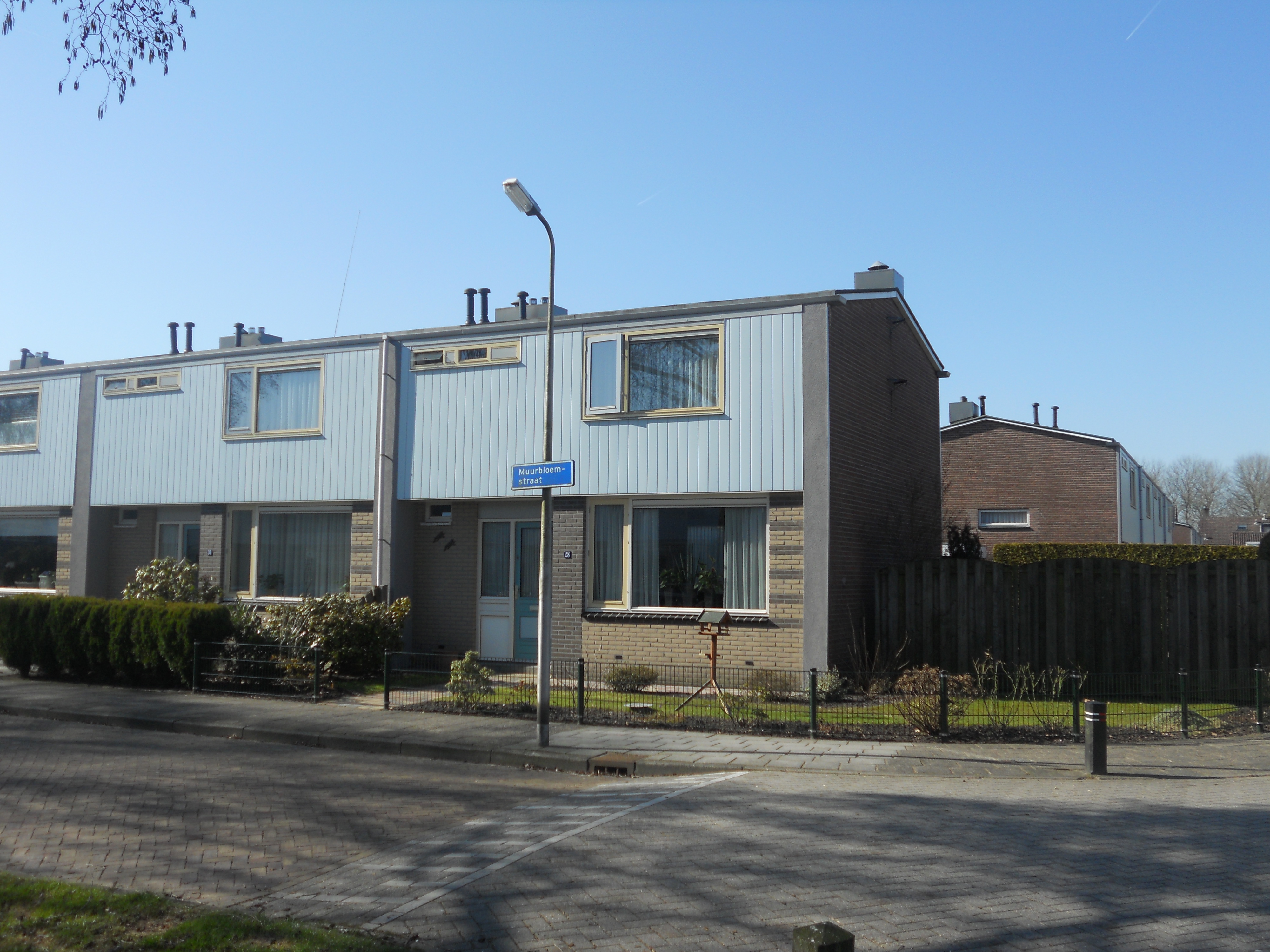 Muurbloemstraat 30