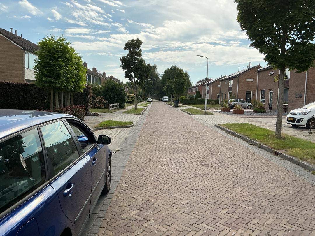 Maadsingel 11