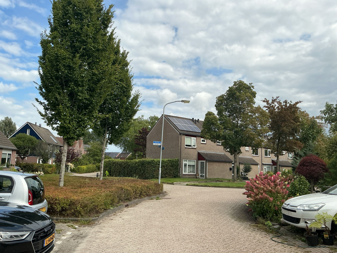 Wiekenas 16