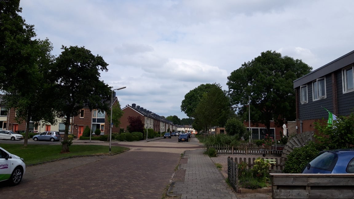 De Geelgors 40