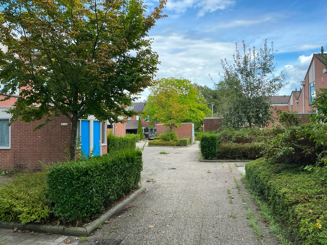 Zuringes 59