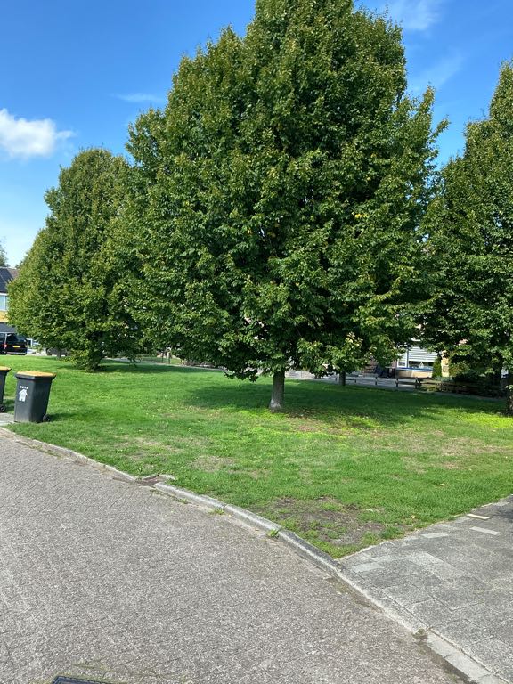 Herenslagen 182