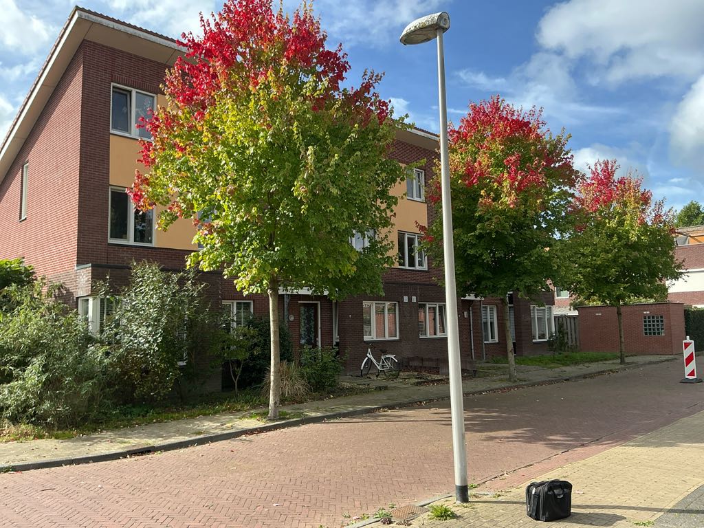 Kommavlinder 19, Hoogeveen