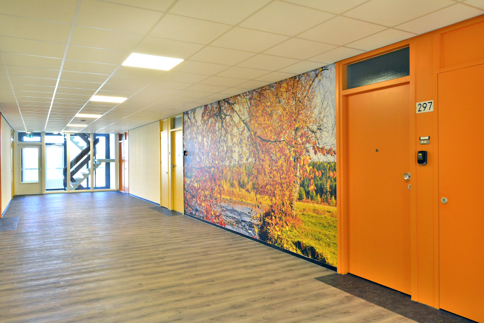 Nijkampenweg 211