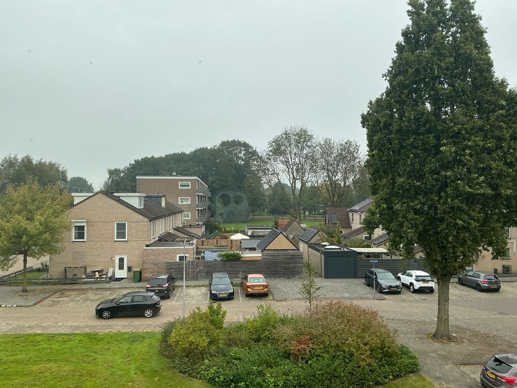 De Reiger 74