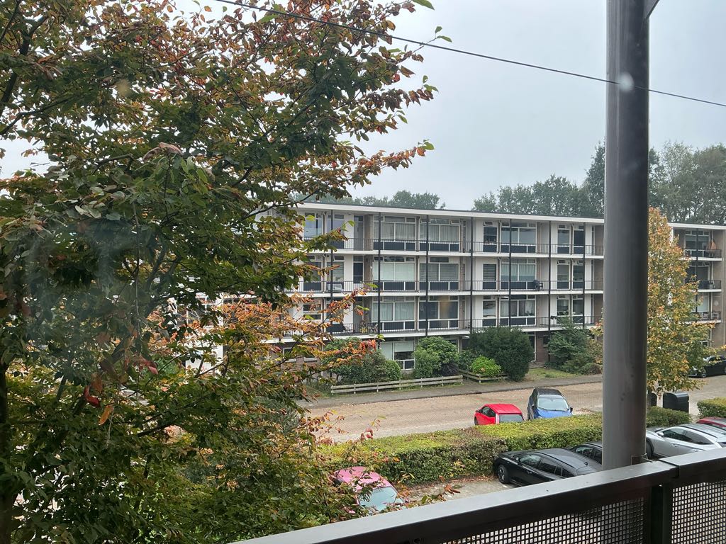 De Reiger 74