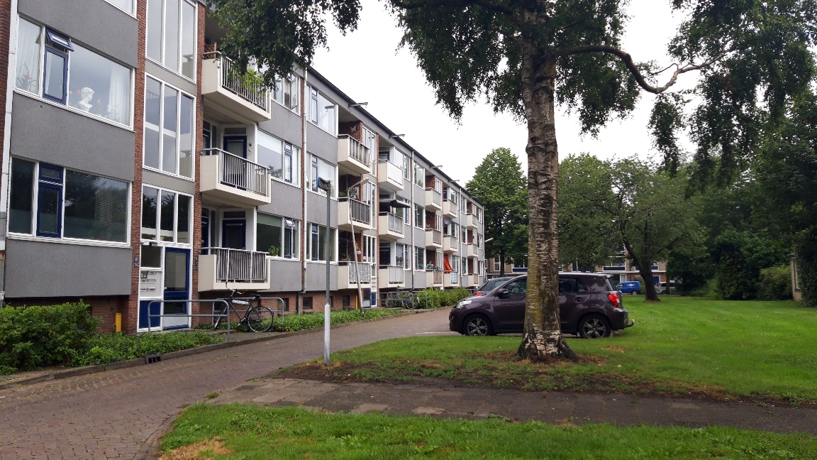 Leliestraat 11